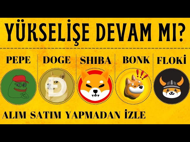 PEPE - DOGE- SHIBA- BONK - FLOKİ ANALYSIS!! Will it continue to rise? Is doge 1# possible? #pepe #dogecoin