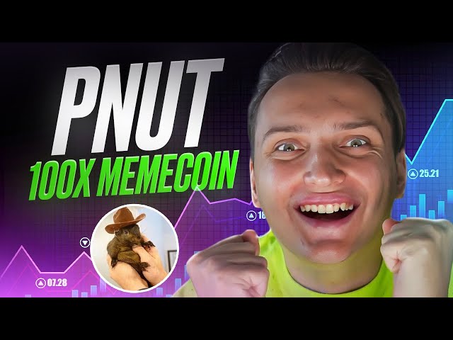 PNUT 至 $10B！此週期您唯一需要的 Memecoin