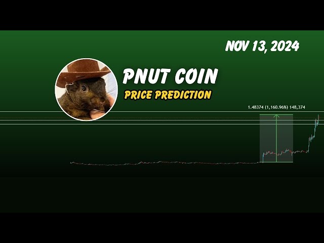 PNUT 幣價格預測 |花生松鼠 PNUT 加密貨幣反彈 |加密訊號 2024 年 11 月 12 日