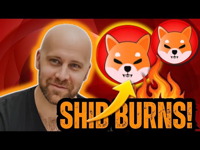 Shiba Inu Coin | SHIB Burns And How To Burn SHIB For 