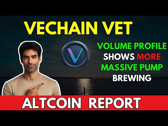 VET：数量显示更多泵酿造 ||Vechain VET 分析和价格预测