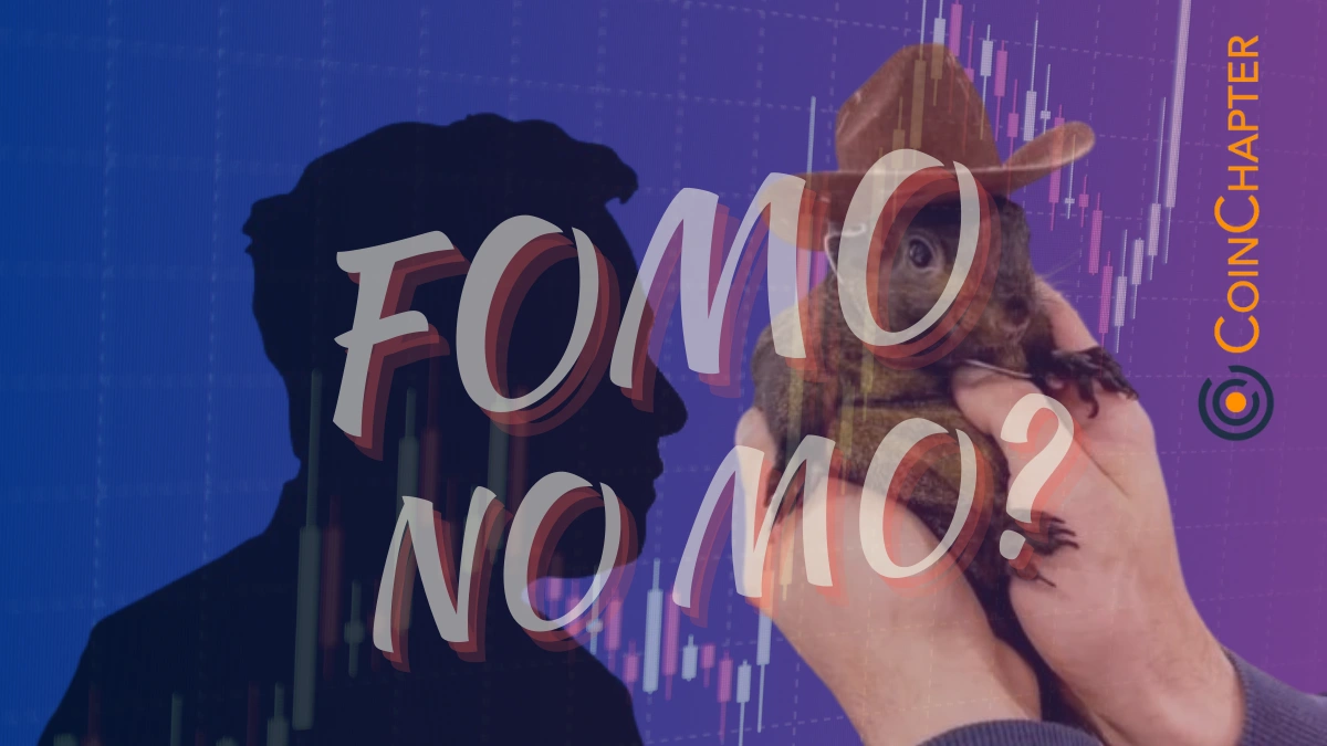 埃隆·马斯克 FOMO 效应消失后 PNUT 代币价格暴跌 38%