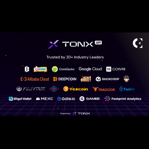 TONX API, 업계 거대 기업과 협력하여 TON API로 개발자 환경 확장