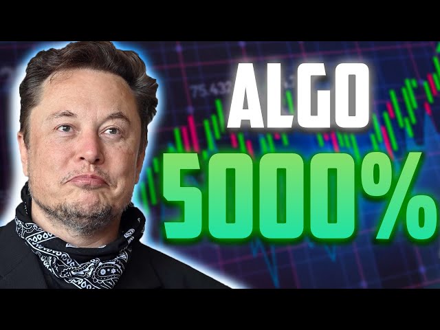 到 2025 年底，ALGO 价格将上涨 5000% - ALGORAND 价格预测和新闻