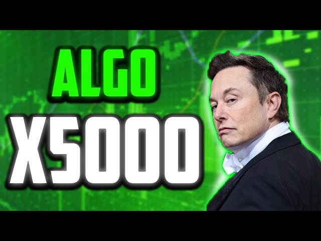 该日期 ALGO 价格将上涨 5000 倍？ - 2025 年 ALGORAND 价格预测和新闻