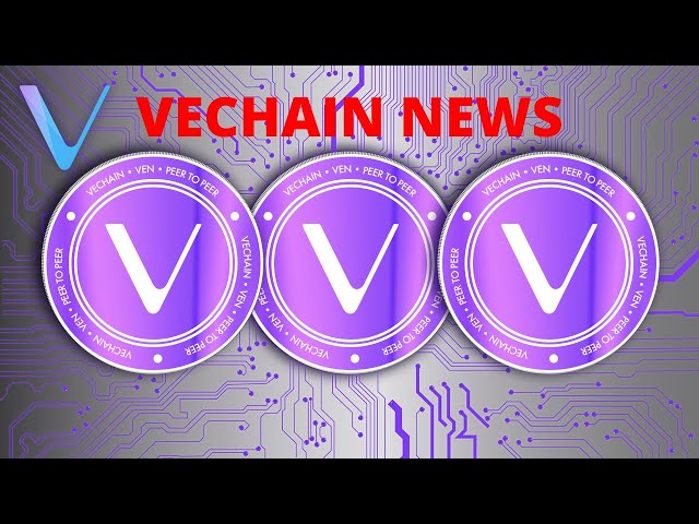 Dernières nouvelles : annonce majeure de VeChain ! Un NOUVEAU StableCoin arrive sur l'EFP !