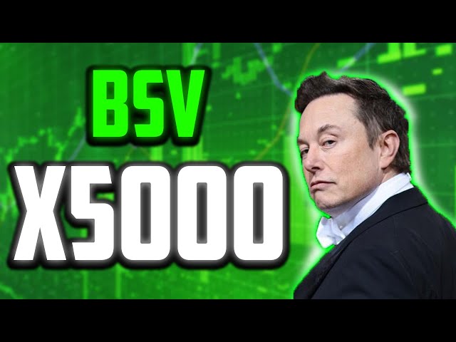 BSV PRICE WILL X5000 ON THIS DATE?? - BITCOIN SV PRICE PREDICTIONS & NEWS 2025