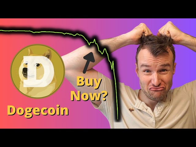 Dogecoin Crash를 구매하시겠습니까? ☢ Doge 암호화폐 토큰 분석