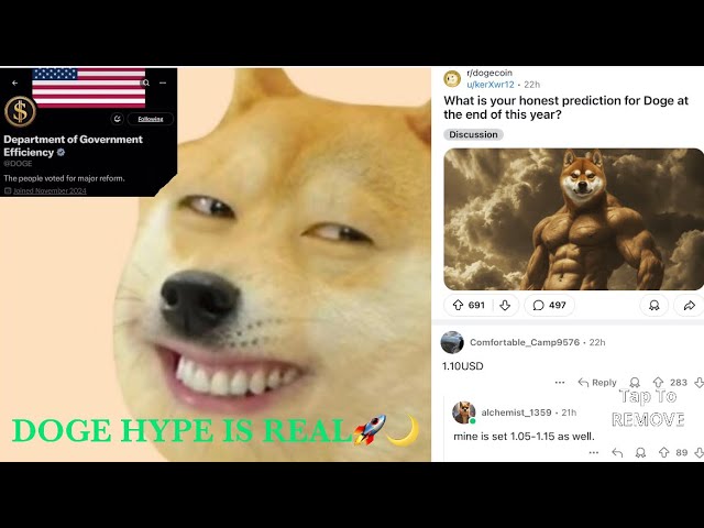 DOGE 코인이 헤드라인을 장식합니다 🔜🚀🌙$1+🤑