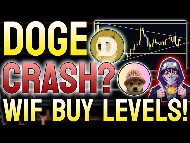 DOGE COIN BIG PRICE UPDATE⚠️ DOGE COIN NEWS TA & CHART AND DOGWIFHAT TOKEN WIF COIN ANALYSIS TA!