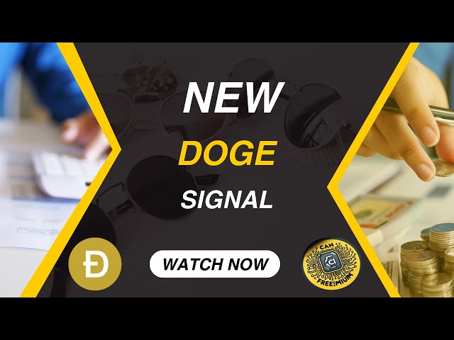 您错过了 DOGE COIN PUMP 吗？！ |这是你的第二次机会🤫