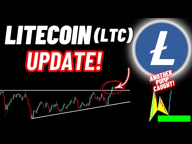 Litecoin (LTC) Kryptomünzen-Update!