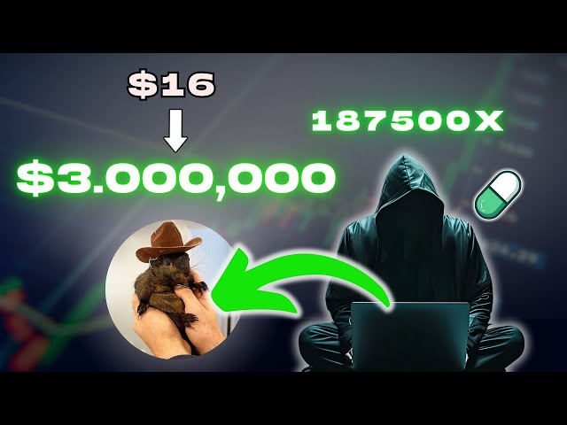 Meme Coin Trader verwandelte mit PNUT 16 US-Dollar in über 3.000.000 US-Dollar