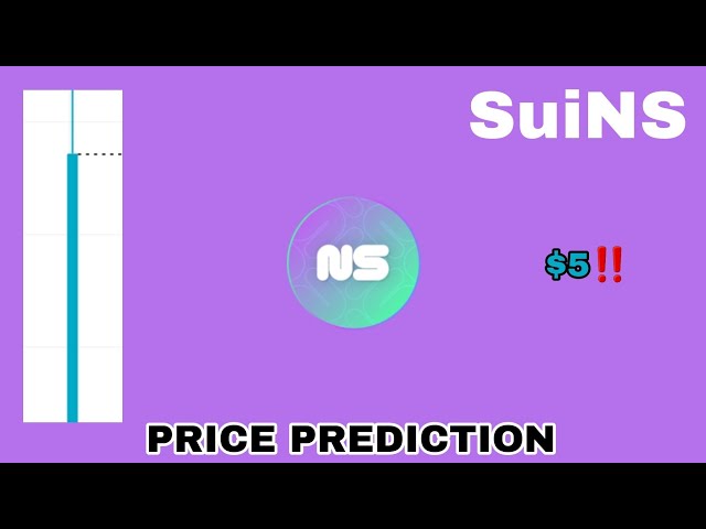 NS COIN TO THE MOON‼️ SuiNS TOKEN-PREISVORHERSAGE 5 $ IST REAL⁉️ NEUES BITGET-LISTING SUI NAME SERVICE