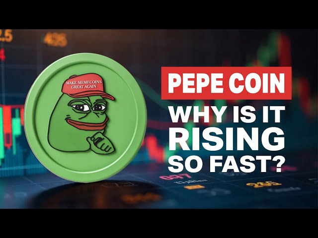 Pepe Coin steigt an einem Tag um 95 %: Was ist das, warum steigt er so schnell?