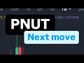 PNUT-MÜNZE NÄCHSTER ZUG | PNUT COIN-PREISVORHERSAGE | PNUT-KRYPTO-PREISANALYSE | PNUT-MÜNZEPREIS