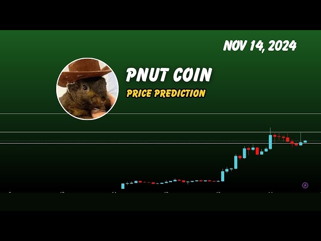 Prédiction du prix des pièces PNUT | Peanut l'écureuil PNUT crypto rallye 3USD ? signaux cryptographiques 14 novembre