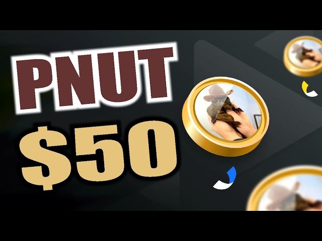 PNUT 快速更新🚀 | PNUT 币价格预测 | PNUT 代币预测 2025 🚀🚀