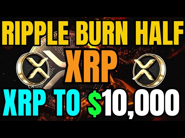 RIPPLE XRP - 美国国会以 10,000 美元购买 XRP！结算优惠详情公布！