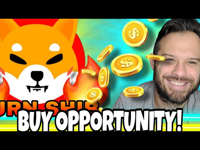 Shiba Inu-Münze | SHIB und Top-Meme-Coins bieten riesige Kaufgelegenheit!