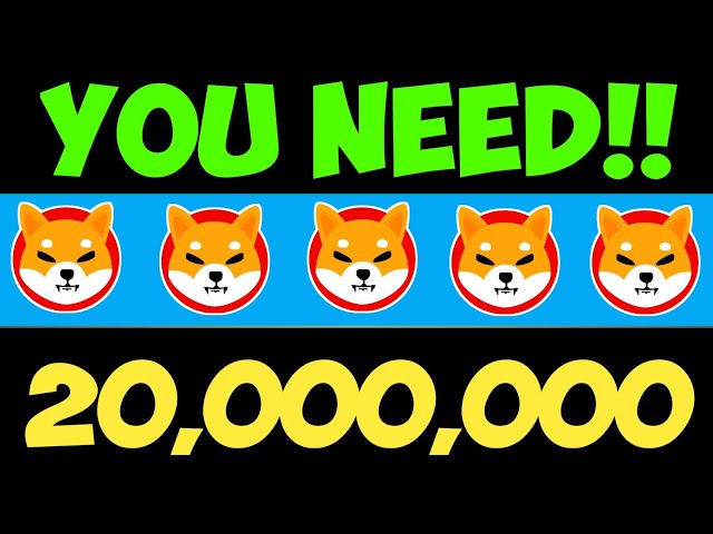 WIE VIEL WERDEN 20.000.000 SHIBA-INU-MÜNZEN BIS 2025 WERT SEIN?! - SHIB KAI