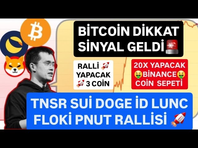 TNSR SU? DOGE ID LUNC FLOK? PNUT 拉力赛🚨比特币关注信号已经到来🚨币安币篮子将上涨 20 倍