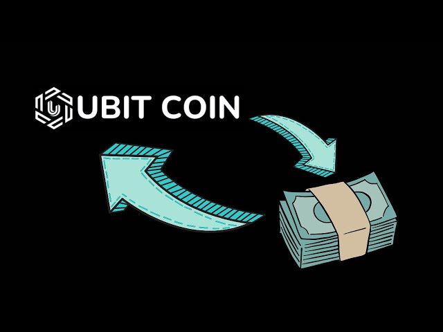 UBitCoin 提款 - 第 3 步：UBits 兑换 USDT 兑换 INR - 完成提款流程。