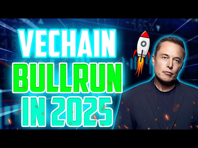 2025년 VET 역대 최대 불런 - VECHAIN의 가장 현실적인 가격 예측 및 업데이트