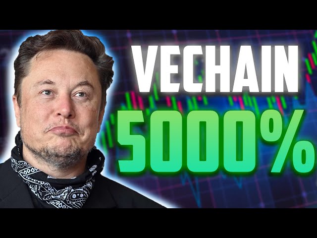 수의사 가격은 2025년 말까지 5000% 상승할 것입니다 - VECHAIN ​​가격 예측 및 뉴스