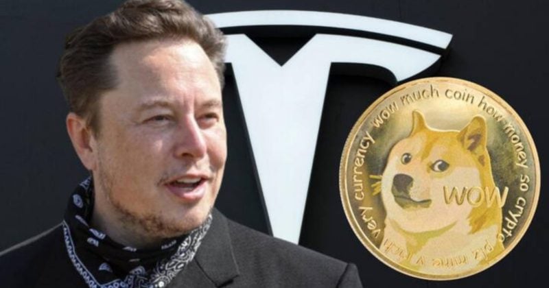 Krypto-Investoren lassen Berufung fallen und beschuldigen Elon Musk, Dogecoin-Preise manipuliert zu haben