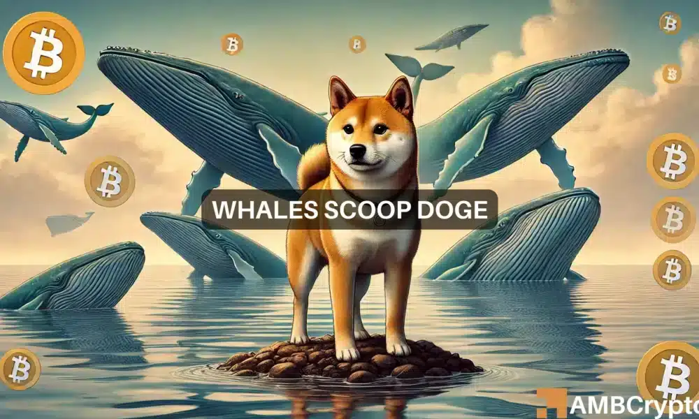 Dogecoin 고래는 가격이 88% 급등하면서 5,600만 달러 상당의 1억 4천만 DOGE를 축적합니다.