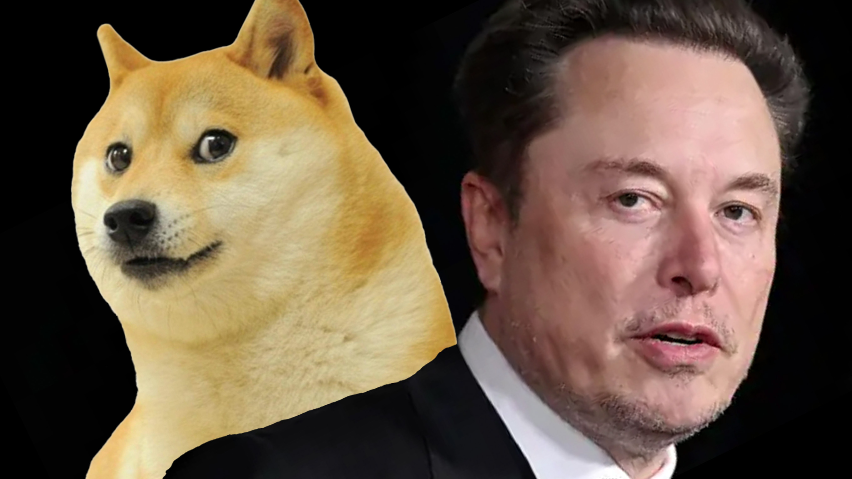 The Dogefather: Elon Musk and the Meme that Won't Die