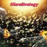 MicroStrategy 加倍押注比特幣 BTC 91,466 美元儲備策略，買入 27,200 BTC