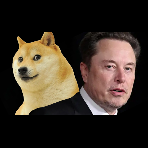 억만장자 Elon Musk와 Meme 코인 Dogecoin의 길고 유서 깊은 역사