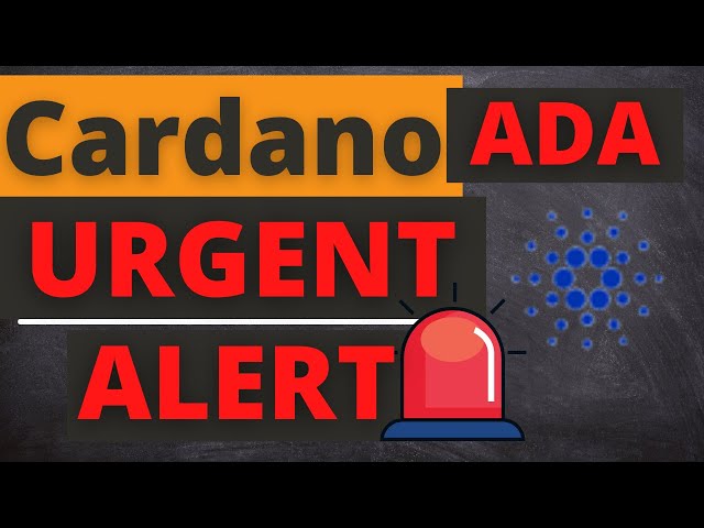 오늘의 ADA Cardano 코인 가격 뉴스 - 최신 가격 예측 및 기술 분석