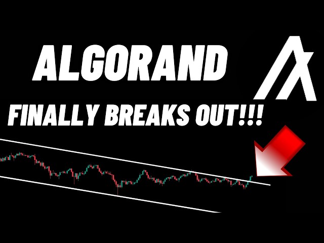 Algorand (ALGO) 加密貨幣終於爆發了！