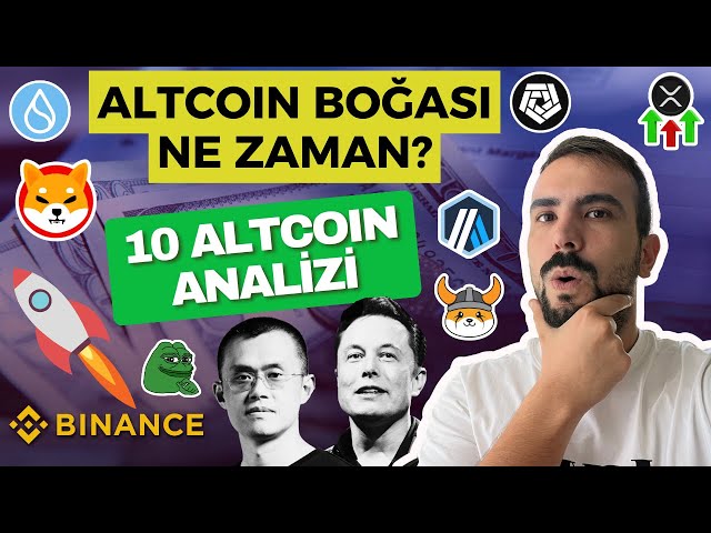 10 알트코인 분석! 알트코인 상승세는 언제 시작되나요? XRP, PEPE, SHIBA 코인, ARKM, DOGECOIN, SUI