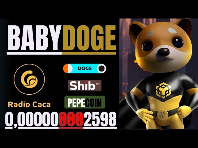 🔥ベイビードージコイン // ラジオカカ + 柴犬 + ペペなど🔥#babydogecoin #babydoge #shib #raca