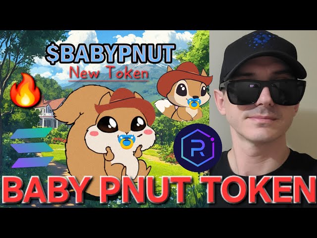 $BabyPnut - 베이비 PNUT 토큰 암호화폐 BABYPNUT PEANUT 구입 방법 다람쥐 SOLANA RAYDIUM MEME