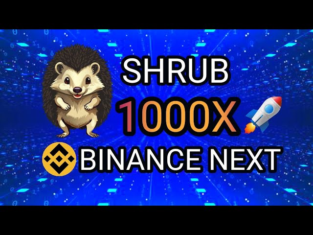 🔥빅뱅🔥 SHRUB COIN 바이낸스 상장 || 엘론 머스크 새로운 애완동물 || 곧 1000배 🚀🚀🚀