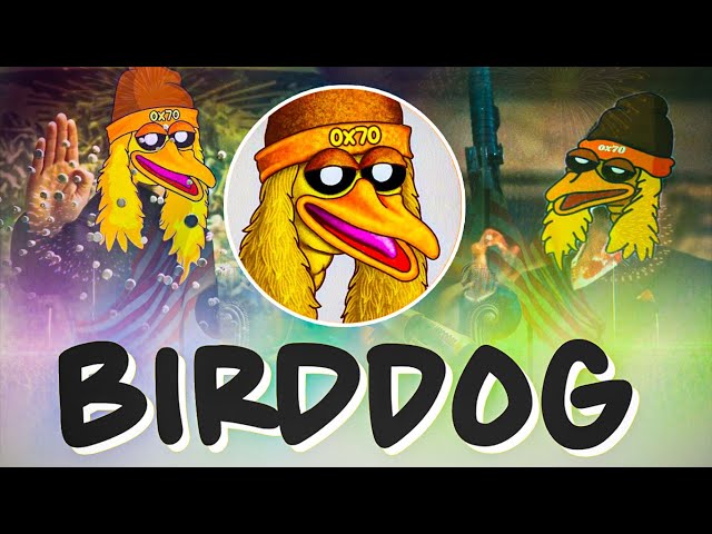 BIRD DOG (ETH)：下一个值得关注的男孩俱乐部代币？现在仅需 100 万美元