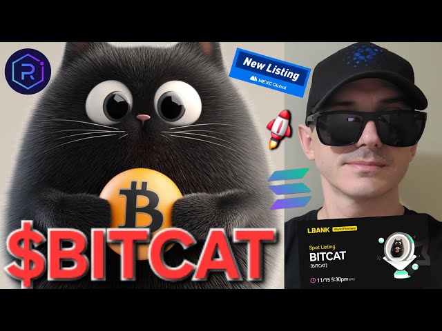 $BITCAT - BITCAT 토큰 암호화폐 MEXC 글로벌 비트코인 ​​구매 방법 CAT BIT SOLANA LBANK SOL RAYDIUM