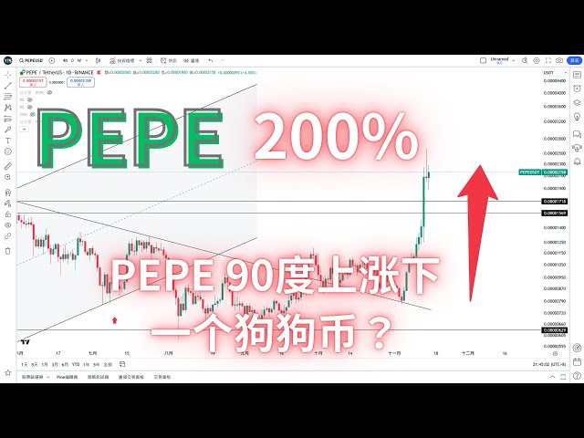 2024/11/15 Bitcoin is consolidating at a high level and is preparing to hit the 100,000 mark #Musk did not announce #Dogecoin’s rise makes a fortune! PEPE rises 200% in two weeks, what’s next? #SHIB #DOGE#sol #memecoin