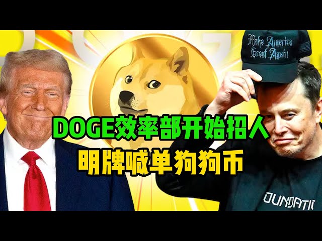 比特幣日報（300）DOGE效率部開始招募人，明牌喊單狗狗幣