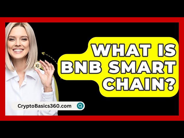 Bnb 스마트 체인이란 무엇입니까? - CryptoBasics360.com