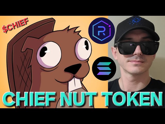 $CHIEF - CHIEF NUT 代币加密货币 如何购买 SOL SOLANA RAYDIUM SQUIRREL MEMECOIN ChiefNut ORCA