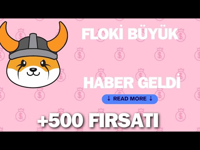 FLOKı BIG RISE 已开始基于代币新闻的价格目标