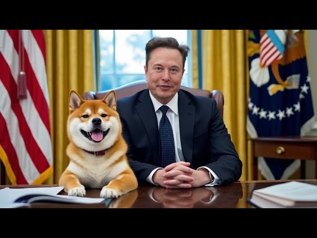 HD So kaufen Sie eine DOGE TON-Münze im Vorverkauf | Quote X1000 Mal 2024