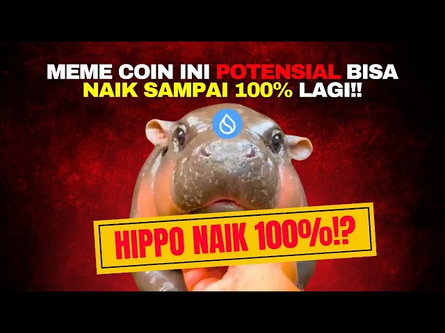 $SUI $HIPPO 네트워크의 MEME 코인 분석 100% 상승 가능성 | HIPPO 분석 잠재력 100% 증가