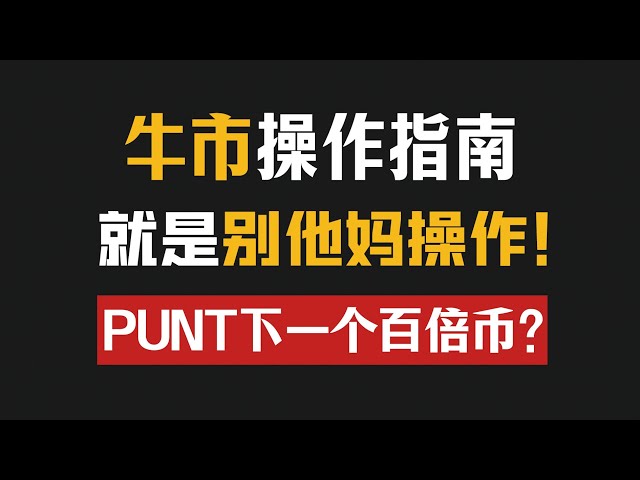 牛市的操作指南就是别他妈操作！比特币牛市山寨币买入点位！PUNT是下个百倍币吗？